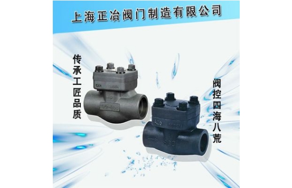 H11Y/H61Y 内螺纹与承插焊锻钢止回阀